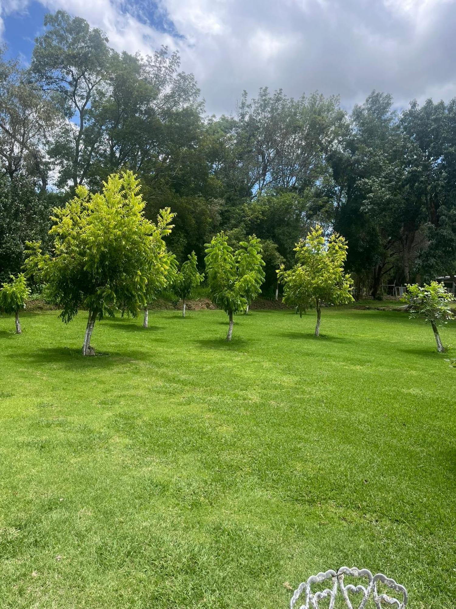 Cabanas Cumbres De Aguacatitla هواسكا دي أوكامبو المظهر الخارجي الصورة