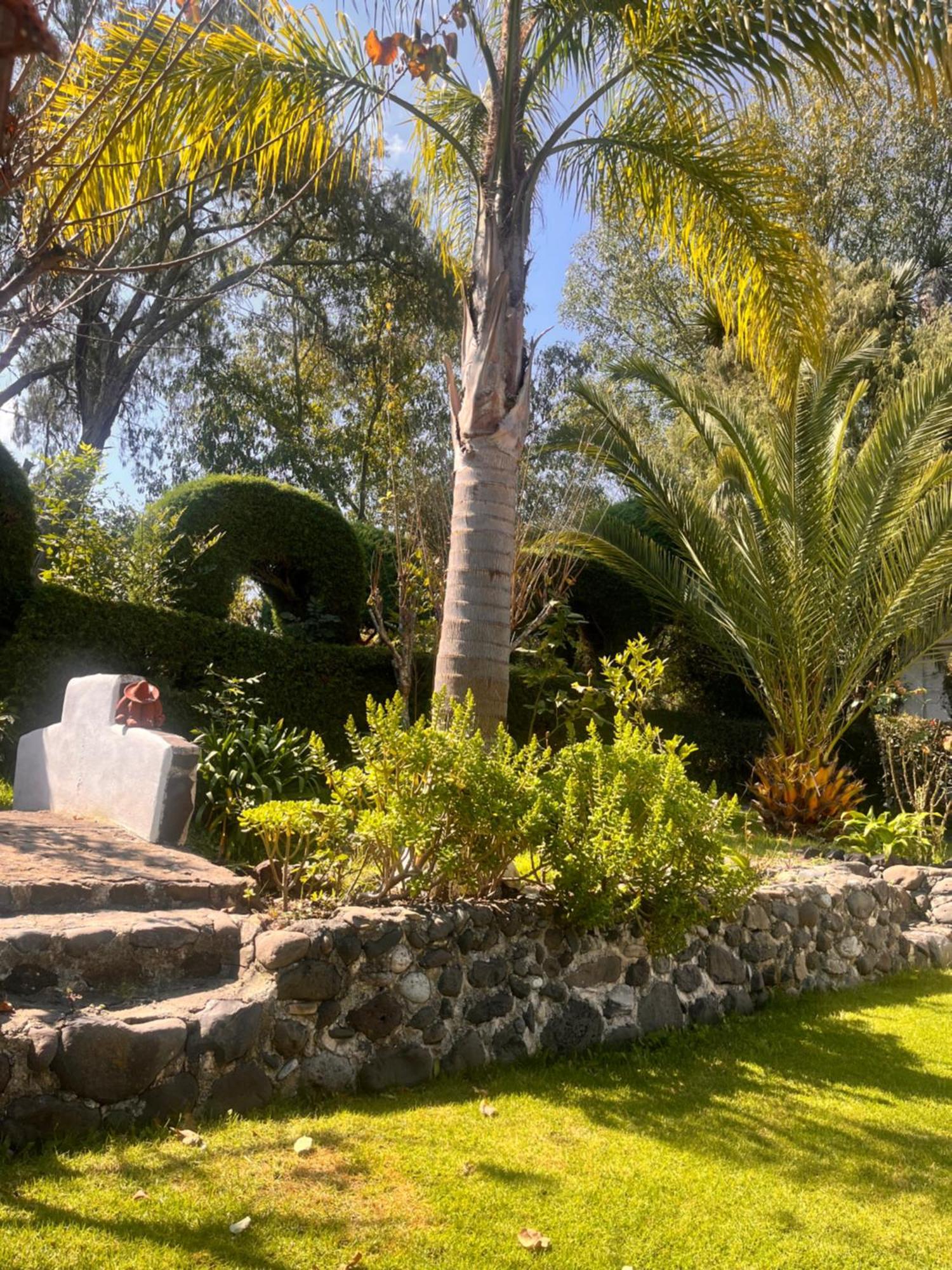 Cabanas Cumbres De Aguacatitla هواسكا دي أوكامبو المظهر الخارجي الصورة