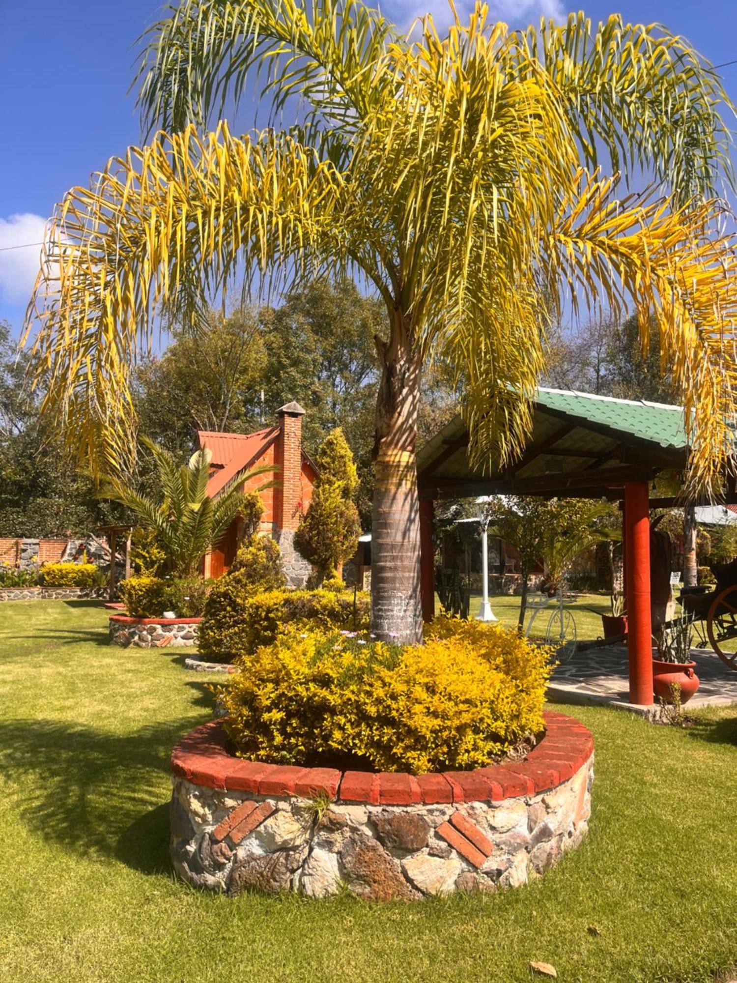 Cabanas Cumbres De Aguacatitla هواسكا دي أوكامبو المظهر الخارجي الصورة