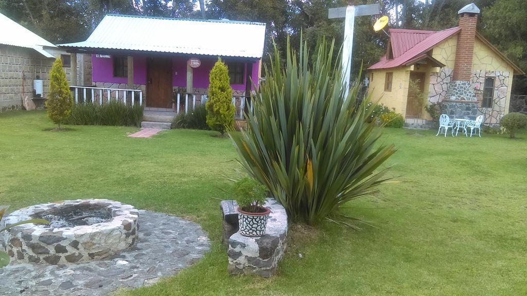 فيلا هواسكا دي أوكامبوفي Cabanas Cumbres De Aguacatitla المظهر الخارجي الصورة